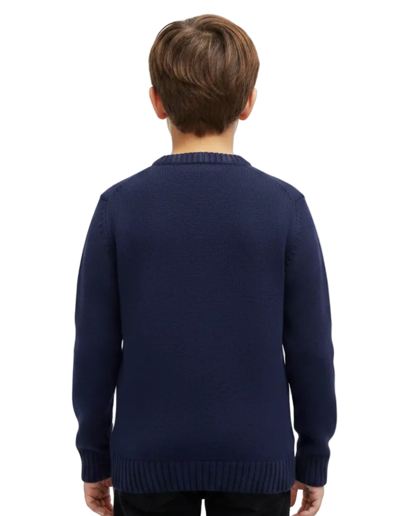 POLO - LONG SLEEVE PULLOVER BLUE
