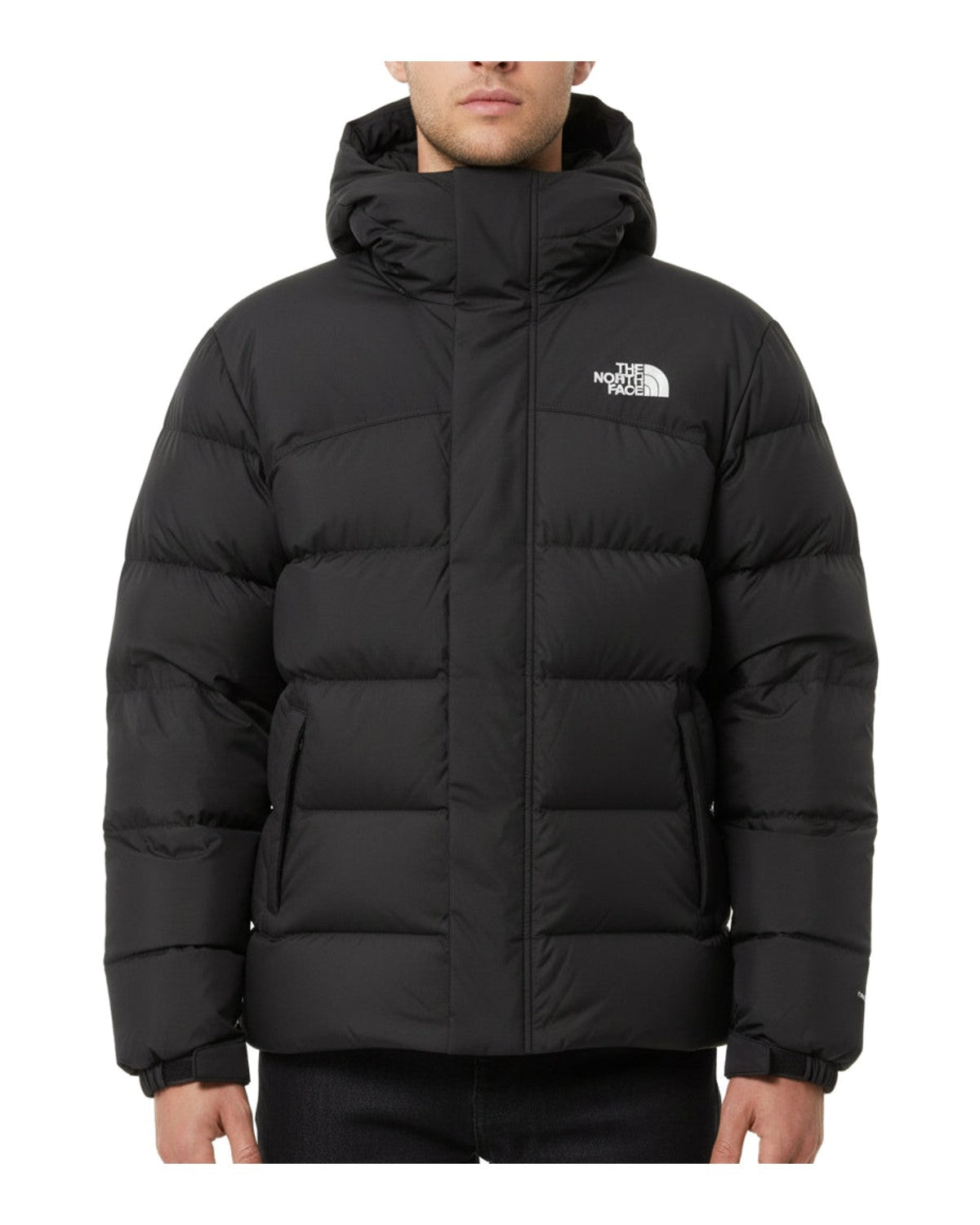 The North Face Baltic Down Puffer Black · Premium Avenue