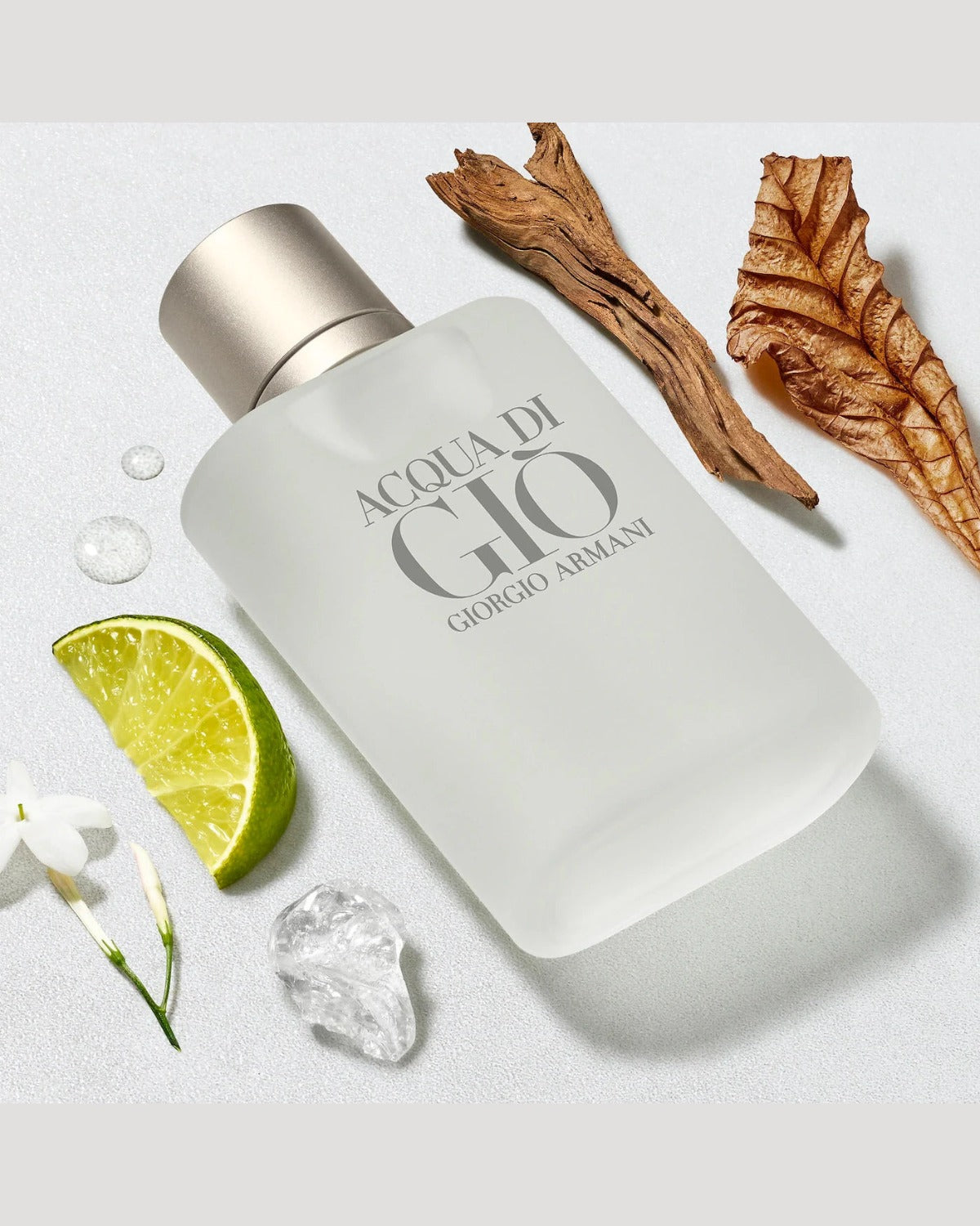 Giorgio Armani Acqua di Giò EDT 100 ml · Premium Avenue
