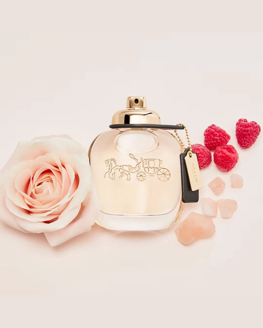 Coach New York EDP 90 ml · Premium Avenue