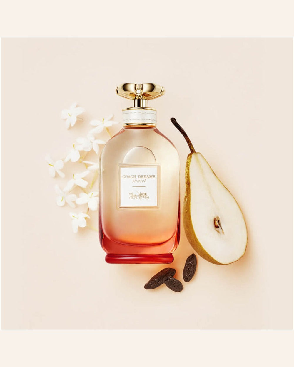 Coach Dreams Sunset EDP 90 ml · Premium Avenue